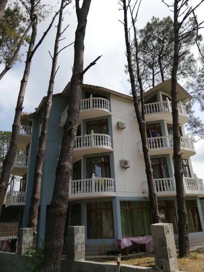 Hotel Shekvetili Шекветили Экстерьер фото
